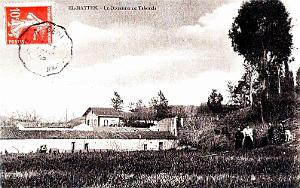 EL-MATTEN - DOMAINE DE TABOULA